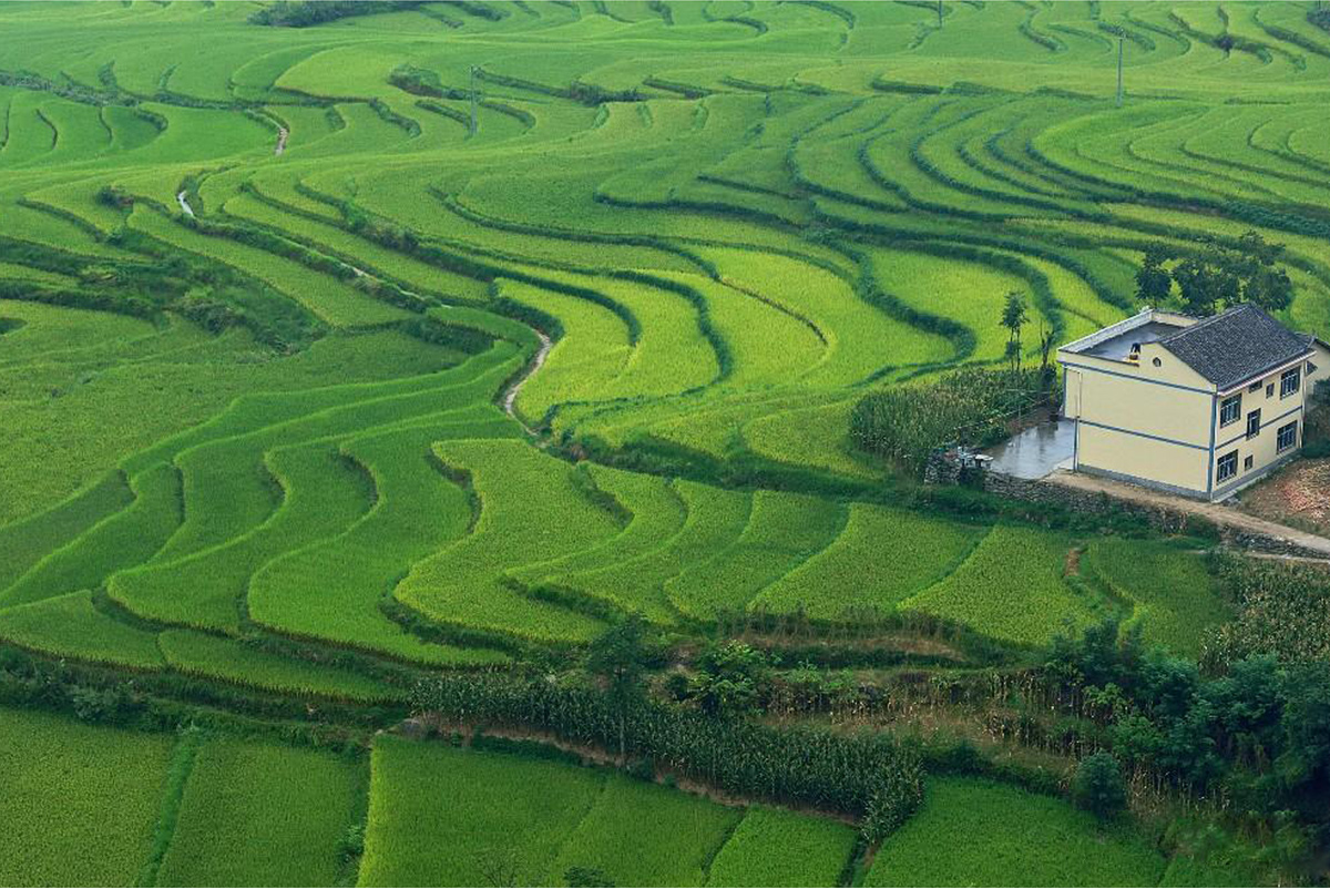 北亚热带湿润气候区,境内山川秀美,物产丰富